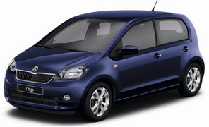 Замена пыльника ШРУС Skoda Citigo